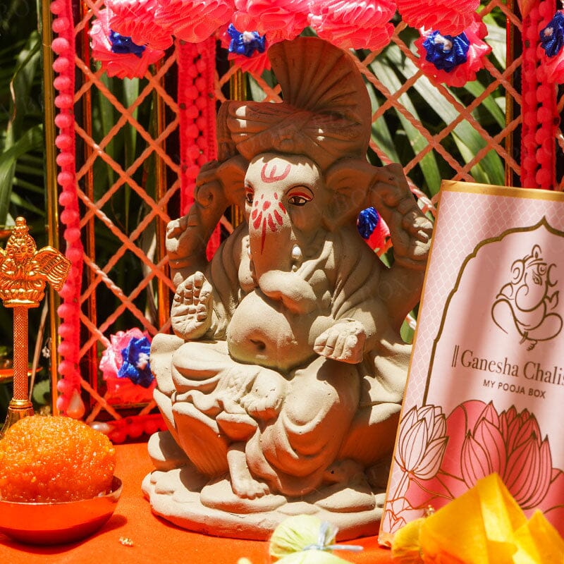 6INCH Eco-Friendly Ekadanta Ganpati | Plant-A-Ganesha