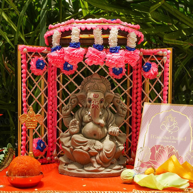 6INCH Gaurik Eco-Friendly Ganpati | Plant-A-Ganesha