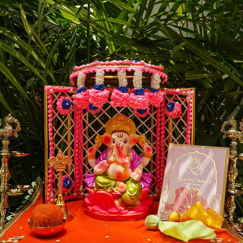 6INCH Gaurik Eco-Friendly Ganpati | Plant-A-Ganesha