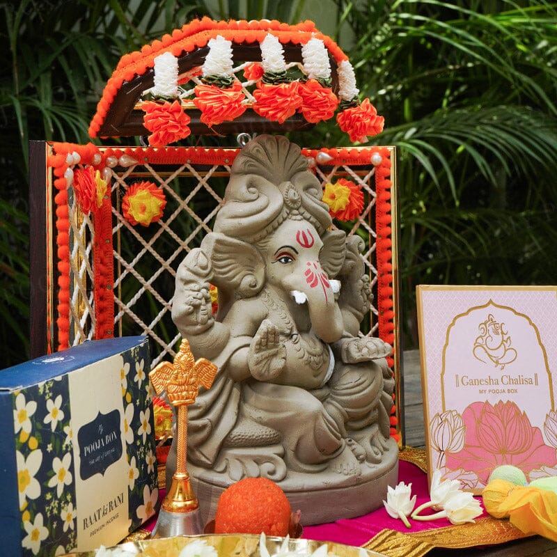 8INCH Lambakarna Eco-Friendly Ganpati | Plant-A-Ganesha