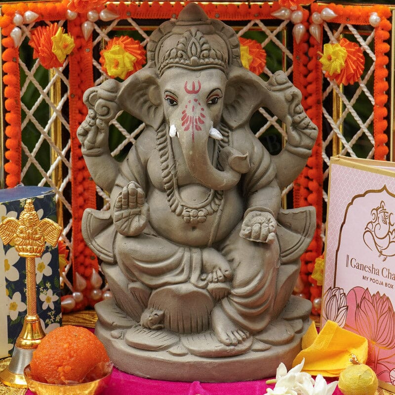 8INCH Pramodaya Eco-Friendly Ganpati | Plant-A-Ganesha