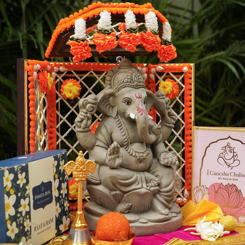 8INCH Pramodaya Eco-Friendly Ganpati | Plant-A-Ganesha
