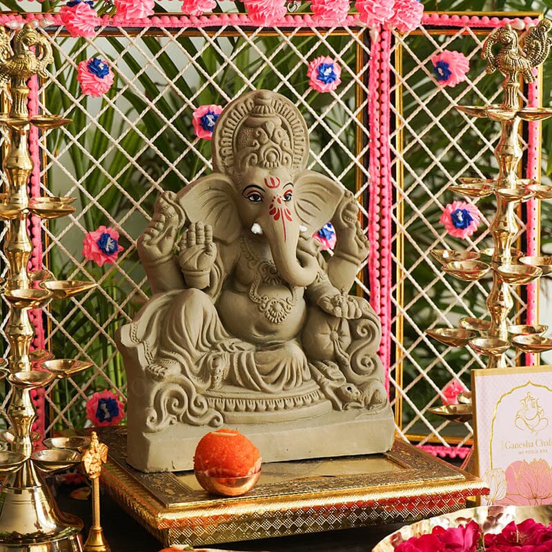 10INCH Aditijaya Eco-Friendly Ganpati | Plant-A-Ganesha