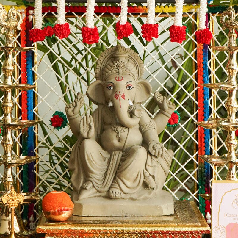 10INCH Ekadrishta Eco-Friendly Ganpati | Plant-A-Ganesha