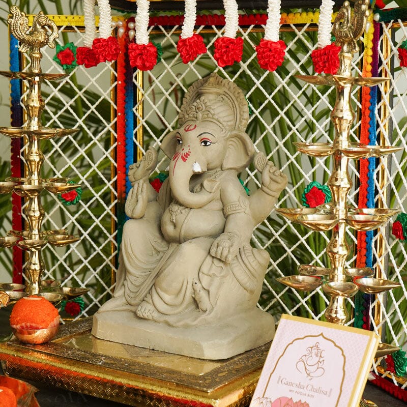 10INCH Ekadrishta Eco-Friendly Ganpati | Plant-A-Ganesha